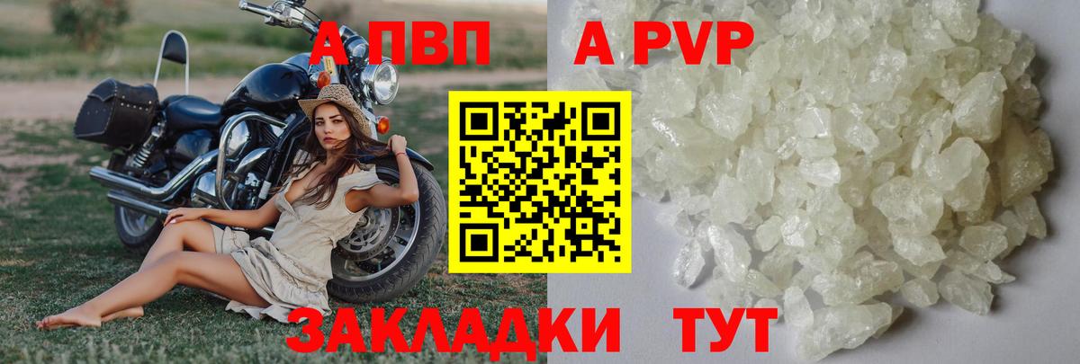 A-PVP СК Елизово