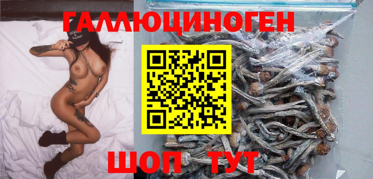Галлюциногенные грибы Psilocybine cubensis Елизово